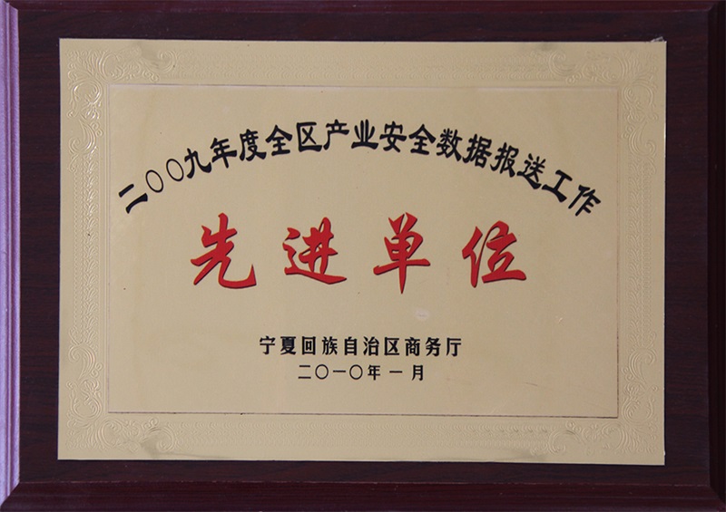 2009年度全區(qū)產(chǎn)業(yè)安全數(shù)據(jù)報(bào)送工作先進(jìn)單位